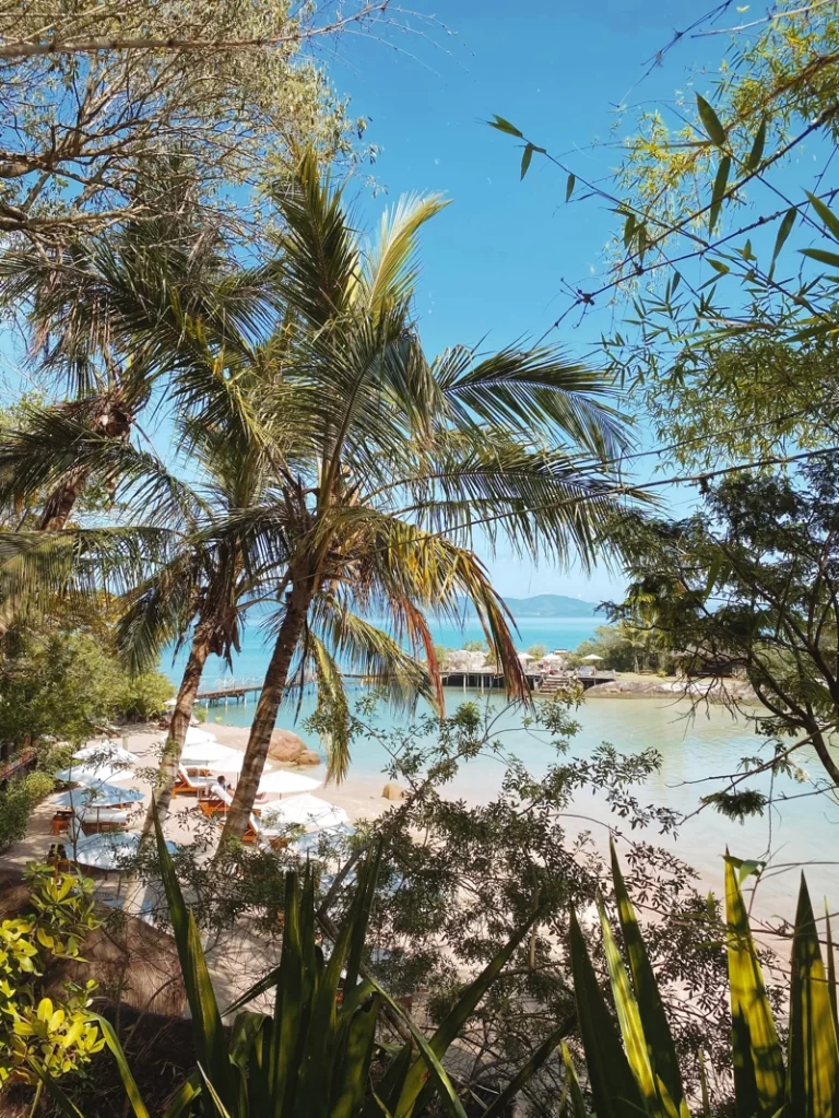 Awasi Santa Catarina