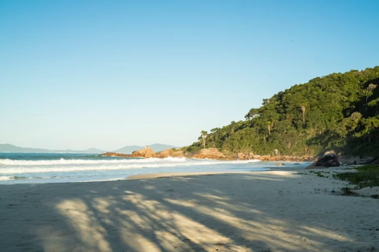 Awasi Santa Catarina