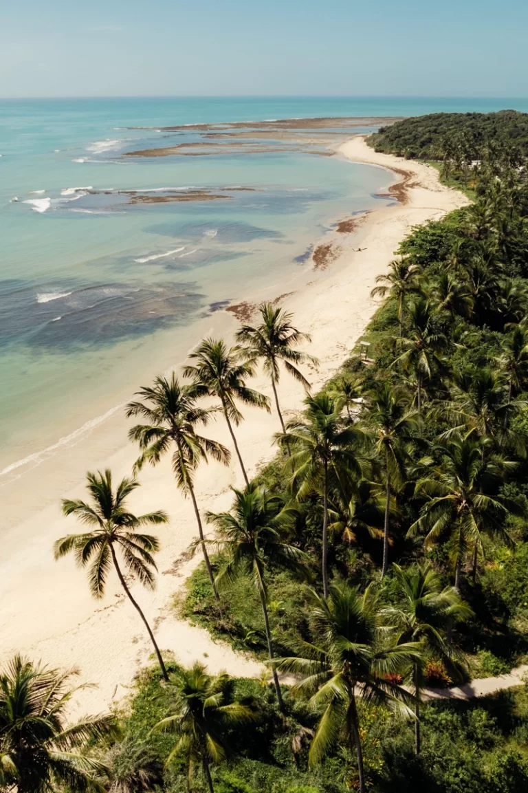 Fasano Trancoso