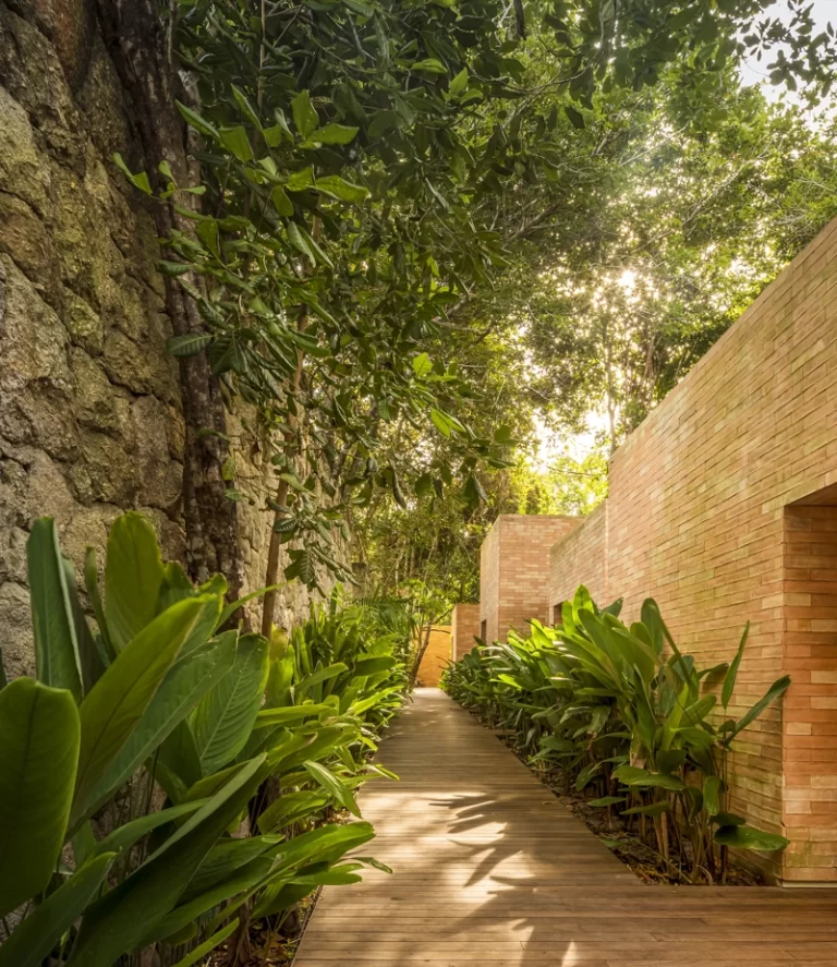 Fasano Trancoso